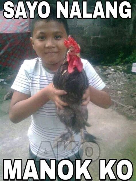 manok memes picture